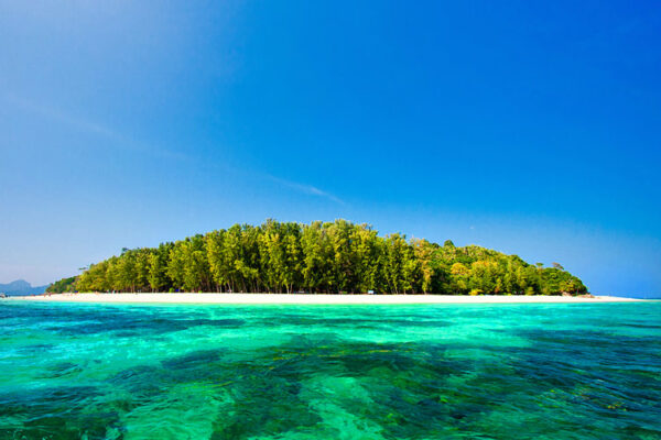 ทัวร์เกาะพีพี เกาะไม้ไผ่ โดยเรือเร็วแบบเต็มวัน จากกระบี่