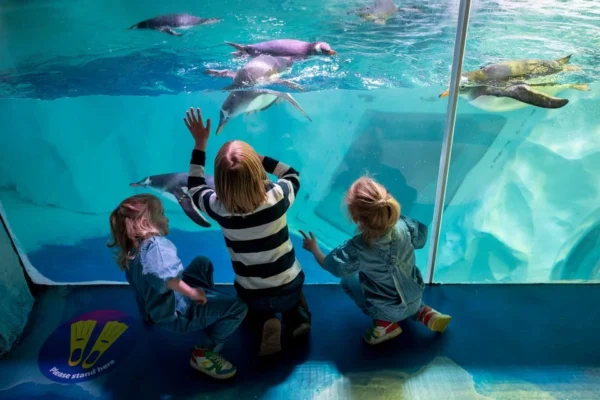 บัตรเข้าชม Sea Life Aquarium แบบเต็มวัน