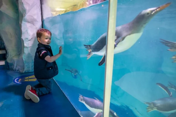 บัตรเข้าชม Sea Life Aquarium แบบเต็มวัน