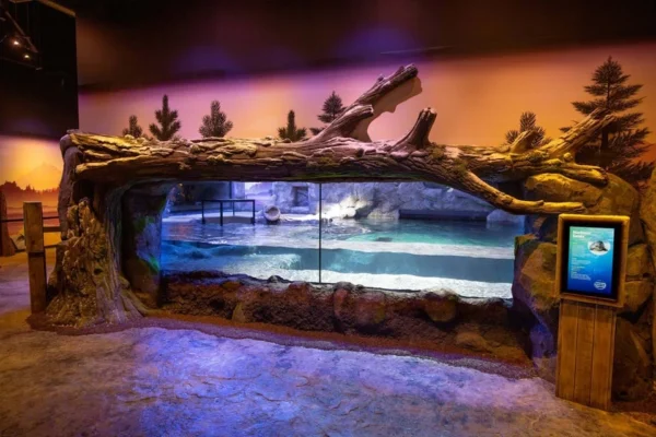 บัตรเข้าชม Sea Life Aquarium แบบเต็มวัน