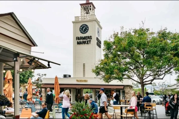 Half-Day Sightseeing Tour of the Best of Los Angeles