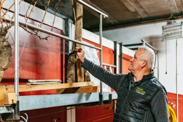 Golden Stones Beaujolais Wine Tasting Tour